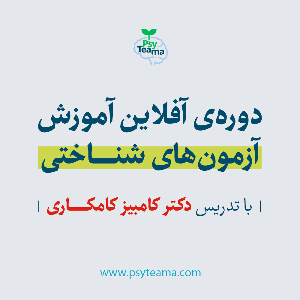 دوره آفلاین آموزش نسخه پنجم مقیاس هوش استانفورد بینه